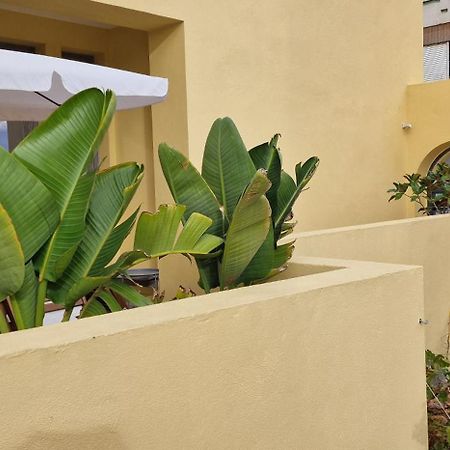 Casa Da Acoteia Apartment Faro Exterior photo