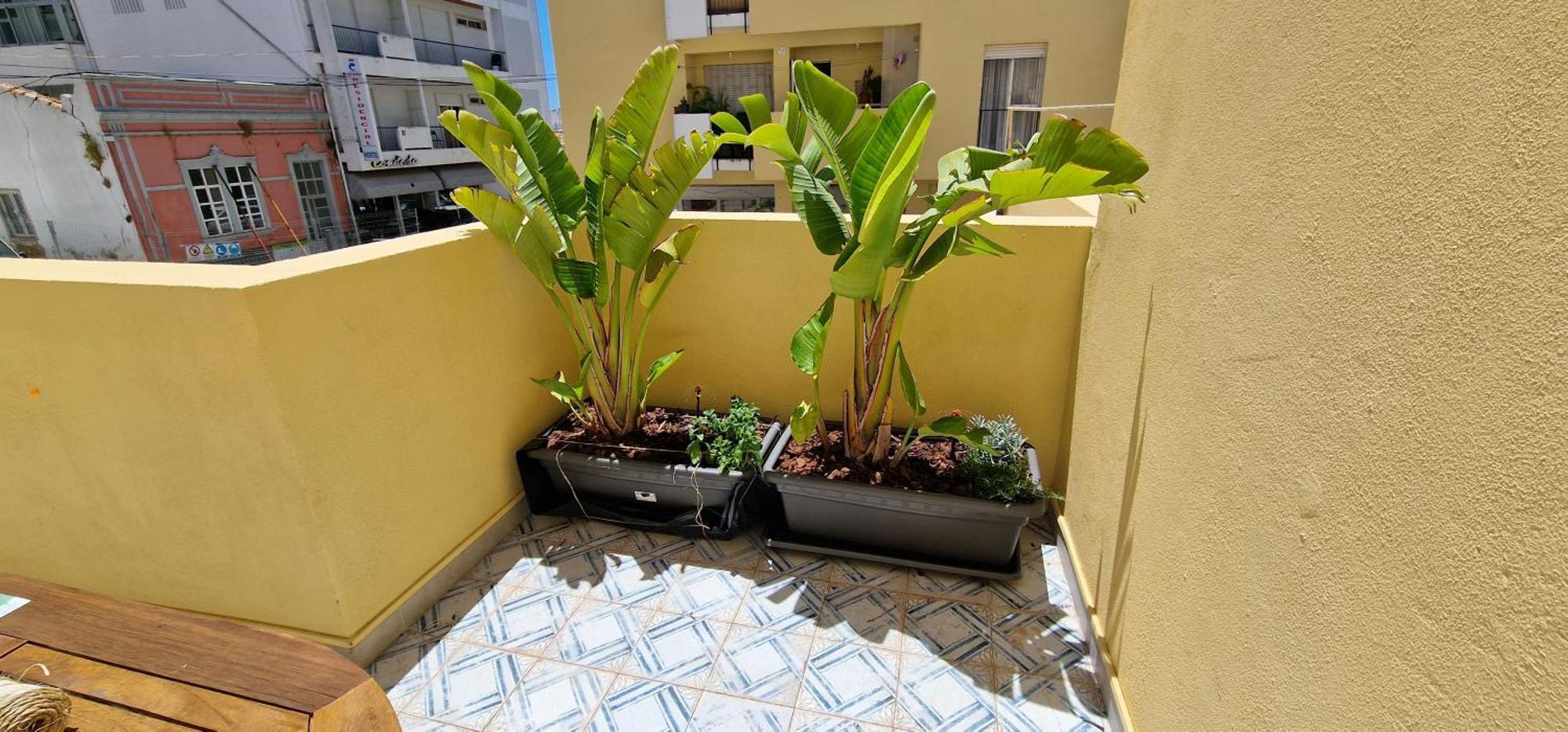 Casa Da Acoteia Apartment Faro Exterior photo