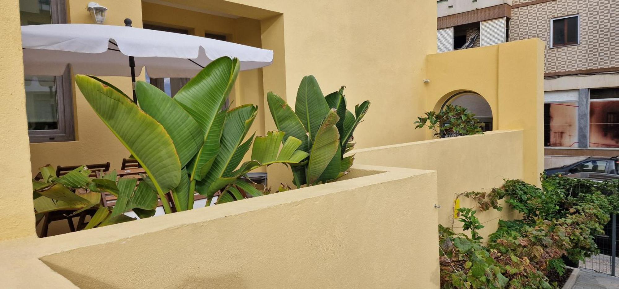 Casa Da Acoteia Apartment Faro Exterior photo